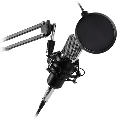KIT STUDIO MICROPH C/SOPORTE/POP/STAND/USB SOUND CARD