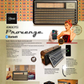 RADIO RETRO PROVENZE MICROLAB 9141