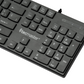 Teclado Básico TM-100513 Tecmaster
